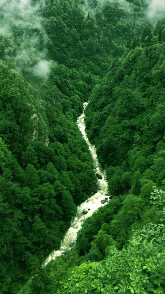 Trees mountain nature green iphone wallpaper Trees mountain green iphone wallpaper