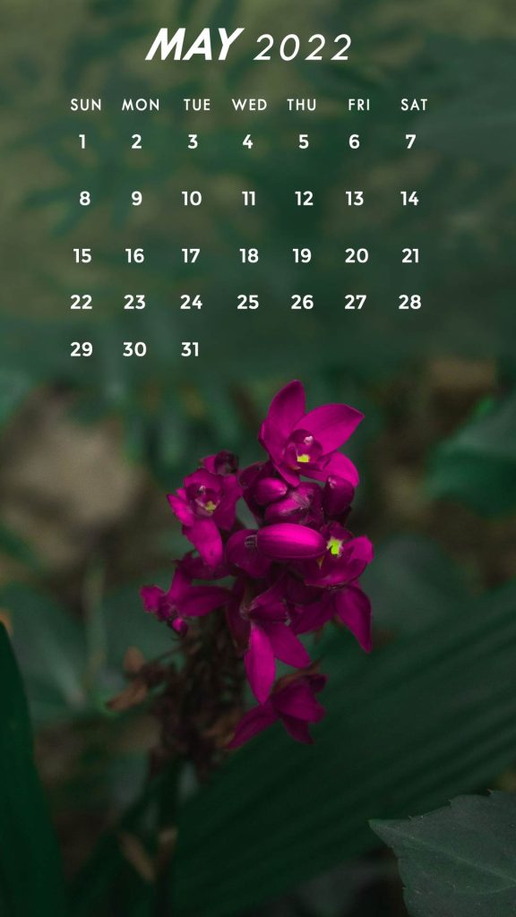 may 2022 calendar iPhone wallpaper backgrounds may 2022 calendar iPhone wallpaper backgrounds