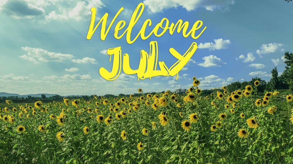 Welcome July wallpaper HD desktop background