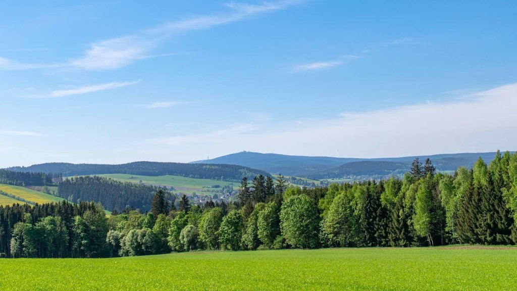 green trees nature landscape laptop desktop wallpaper green trees nature landscape laptop desktop wallpaper