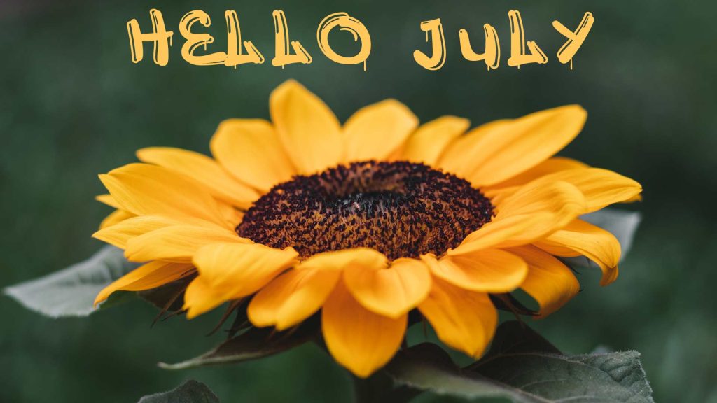 hello july wallpaper background hello july wallpaper background