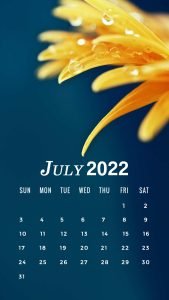 july iPhone wallpaper 2022 calendar background
