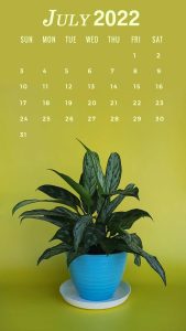 july iPhone wallpaper 2022 calendar background