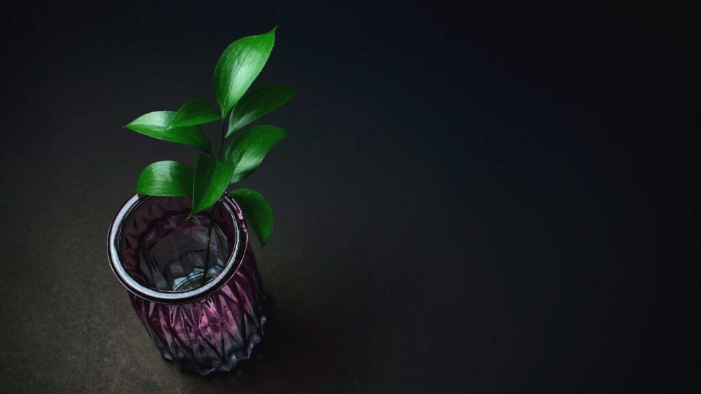 minimalist desktop wallpaper laptop computer background