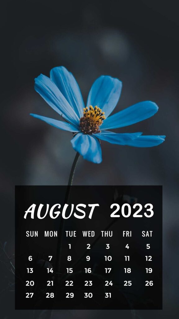 august 2023 iphone calendar wallpaper