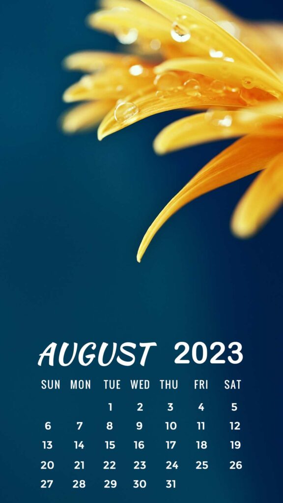 august iphone wallpaper 2023 calendar