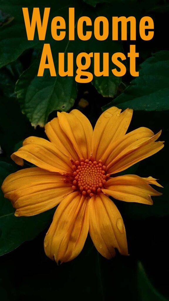 welcome August wallpaper backgrounds