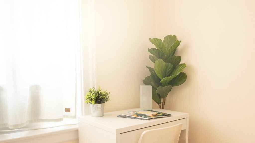 professional zoom background home office wall with plants professional zoom background home office wall with plants