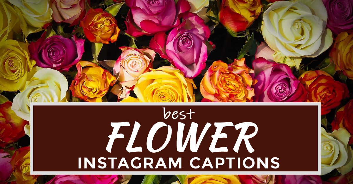 flower captions instagram