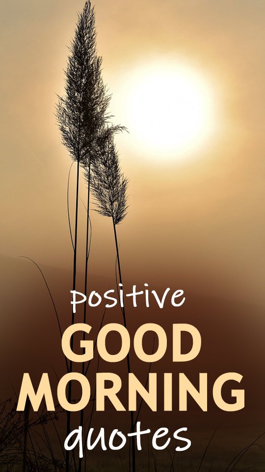 50+ Positive good morning quotes to elevate mood