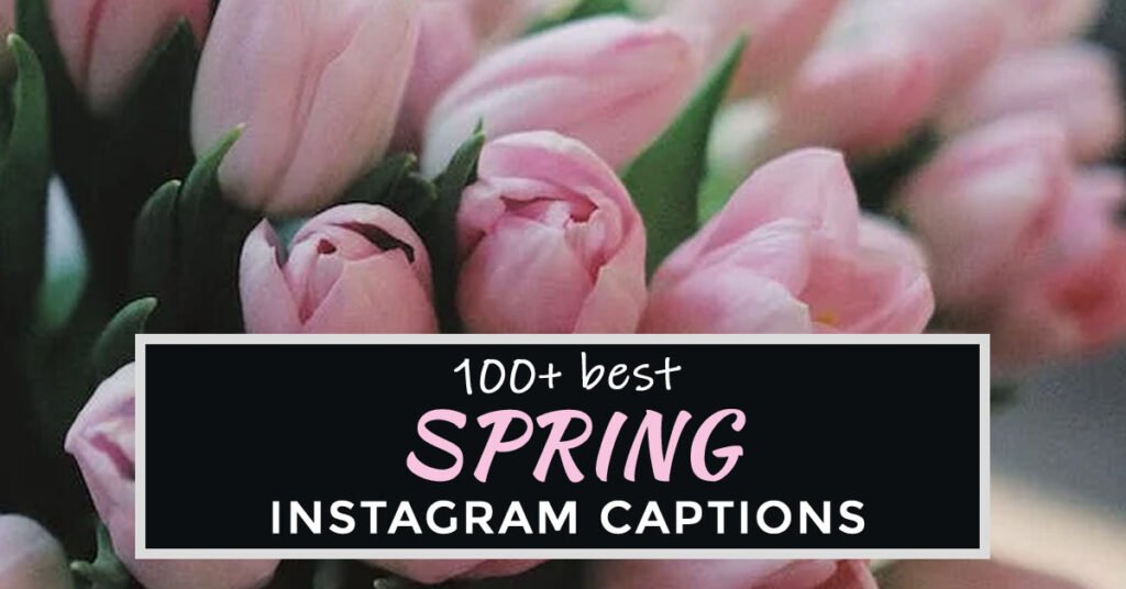 Cute spring captions instagram