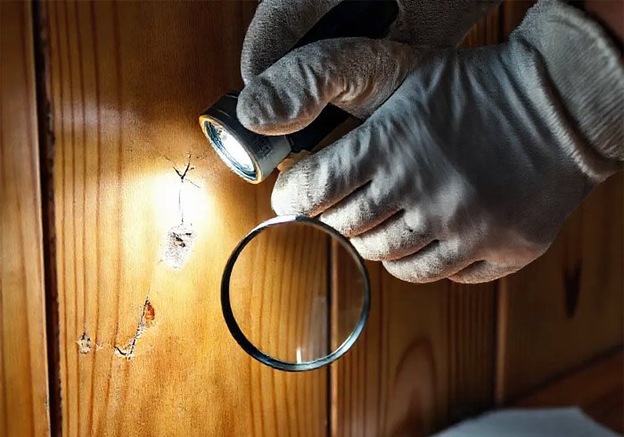 Assess Your Paneling’s Condition