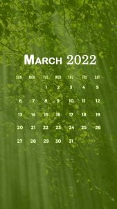 march iPhone wallpaper calendar 2022 backgrounds