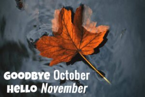 goodbye october hello november pictures