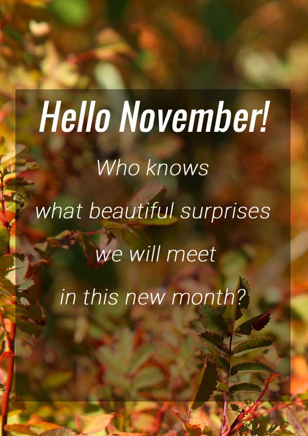 Hello November quotes images