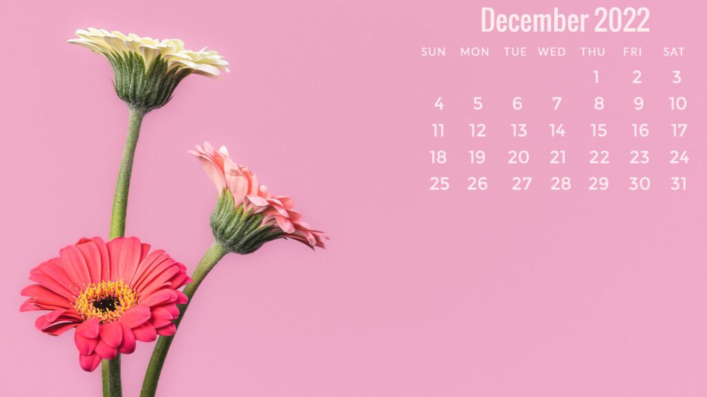 december 2022 calendar pc wallpaper pink