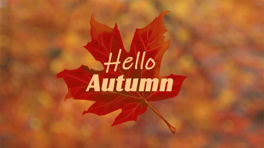 hello autumn wallpaper pc hd 1920x1080 pc themes
